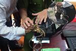 Dị nhân móng tay dài nhất Việt Nam: Cắt là ốm, thay áo mất 15-4