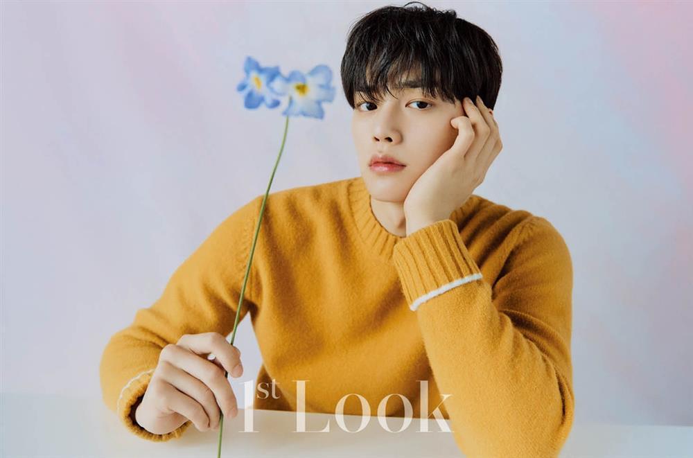 Nam thần thế hệ mới của phim Hàn-4