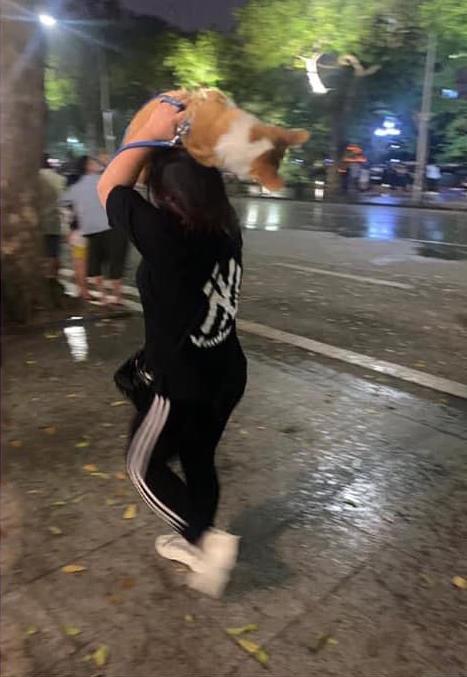 Cô gái bất ngờ tìm thấy chân ái chỉ vì đội thú cưng lên đầu chạy dưới mưa-1