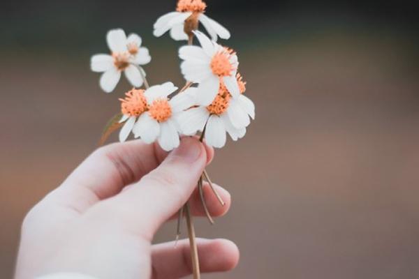 Số cuối ngày sinh chứng tỏ bạn chính là thiên tài, chức tước đầy mình-4