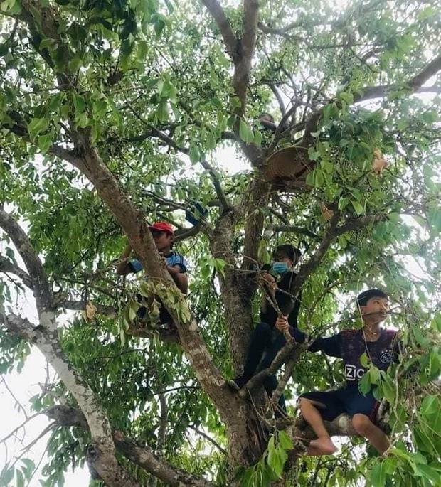 Cô nàng khoe mùa cherry Việt Nam sắp đến, dân mạng cười muốn nội thương-2