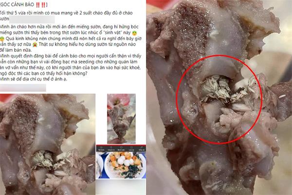 Đang ăn gà hầm, cô gái nôn thốc tháo vì ổ giòi lúc nhúc trong bát-9