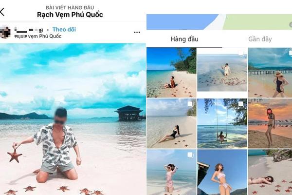 Vì sao du khách chỉ chạm vào sao biển cũng đủ giết chết chúng?-10