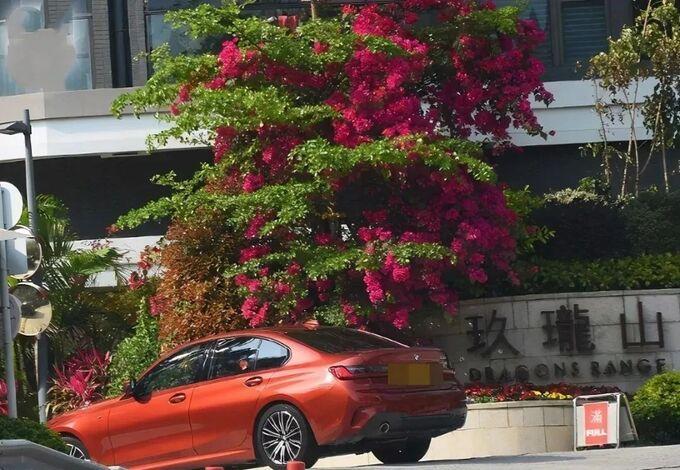 Bom sex Hong Kong kiếm bộn-1