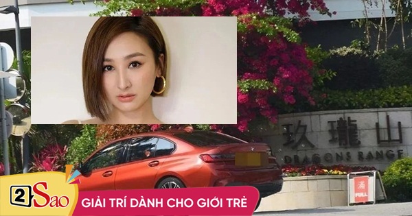 Cao Hải Ninh kiếm bộn tiền