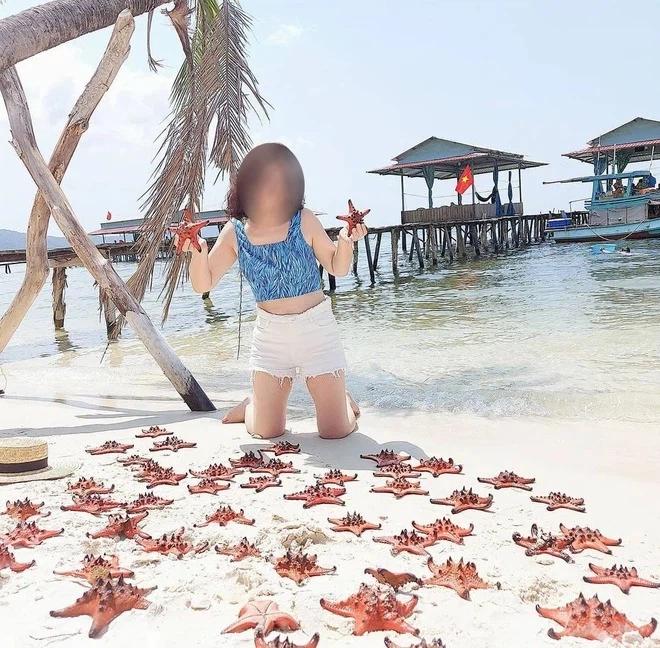 Vì sao du khách chỉ chạm vào sao biển cũng đủ giết chết chúng?-4