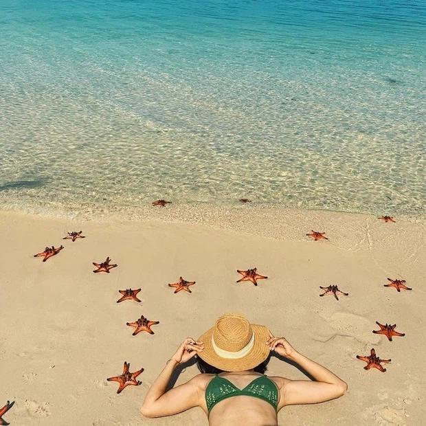 Vì sao du khách chỉ chạm vào sao biển cũng đủ giết chết chúng?-5