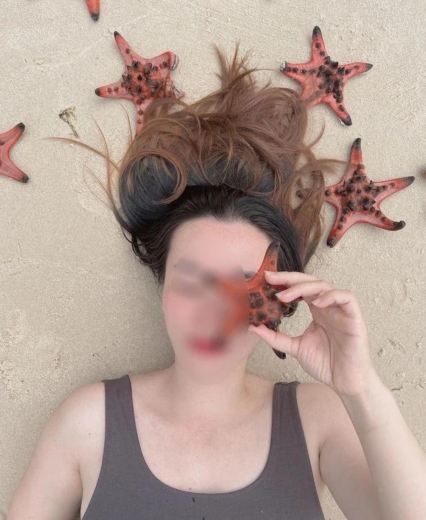 Vì sao du khách chỉ chạm vào sao biển cũng đủ giết chết chúng?-7