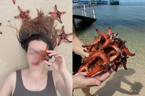 Quỳnh Anh Shyn - An Vy (FAPTV) bị đào lại loạt ảnh bikini với sao biển-6