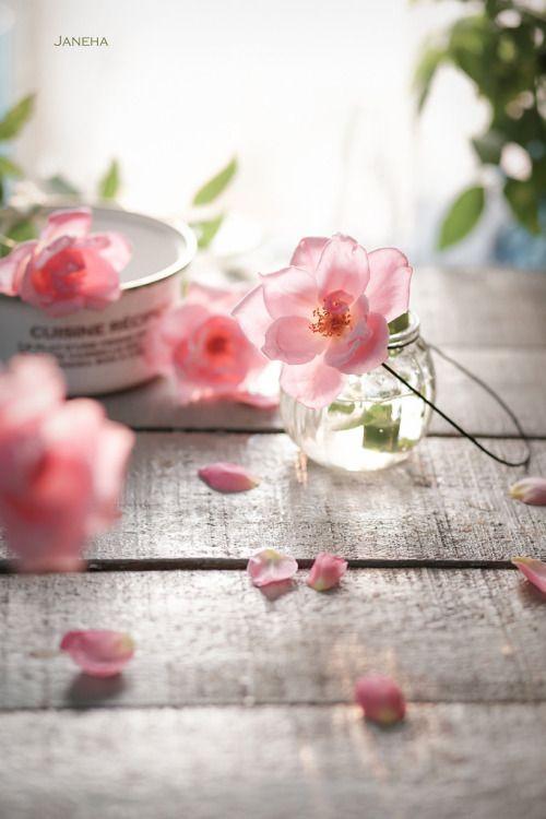 12 cung hoàng đạo thứ Sáu ngày 9/4/2021: Song Ngư mông lung như một trò đùa-1