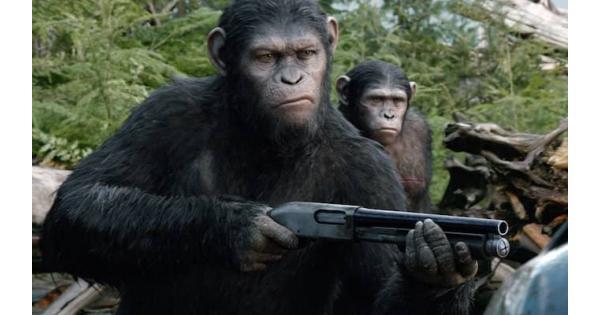 4 phim hậu tận thế siêu hay đừng dại gì nhắm mắt bỏ qua-4