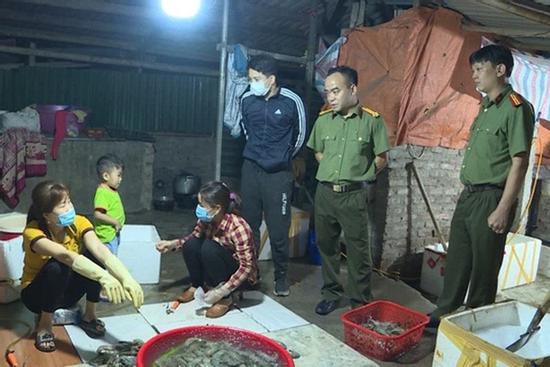 Hà Nội: Bắt quả tang cơ sở bơm tạp chất vào tôm cung cấp cho nhà hàng
