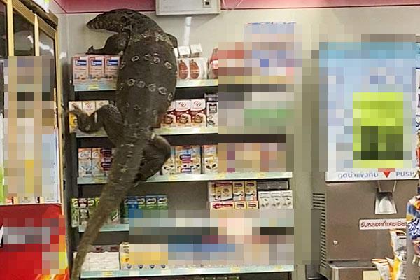 Khách hàng sợ chạy đứt dép khi quái vật khổng lồ xuất hiện ở cửa hàng tạp hóa-2