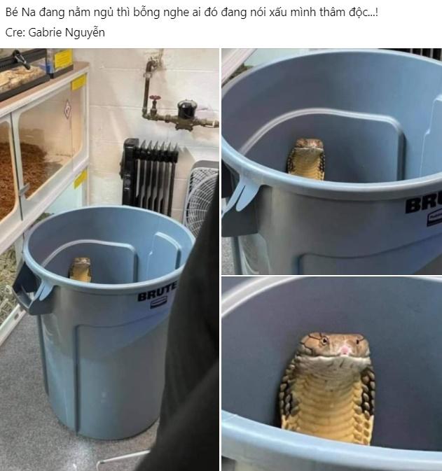 Đang ngủ nghe có người nói xấu, bé Na nghểnh cổ hóng chuyện-1