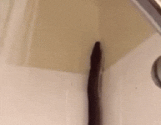 Đang ngủ nghe có người nói xấu, bé Na nghểnh cổ hóng chuyện-2