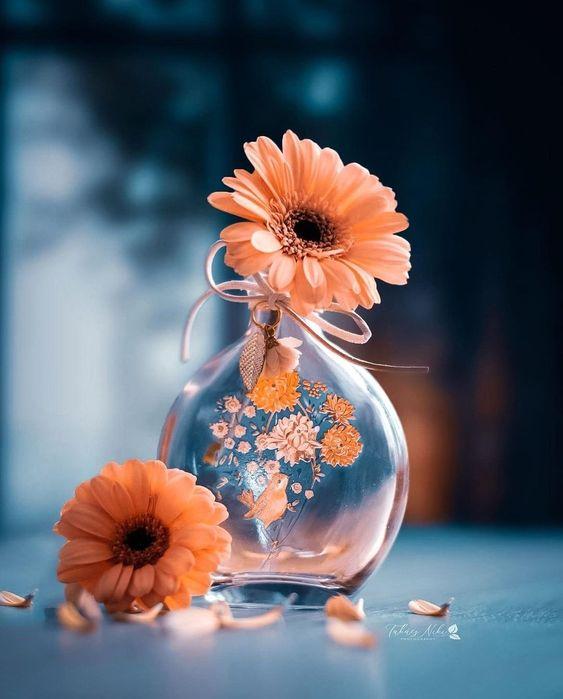 12 cung hoàng đạo thứ Bảy ngày 10/4/2021: Công việc Kim Ngưu lên như diều gặp gió-3