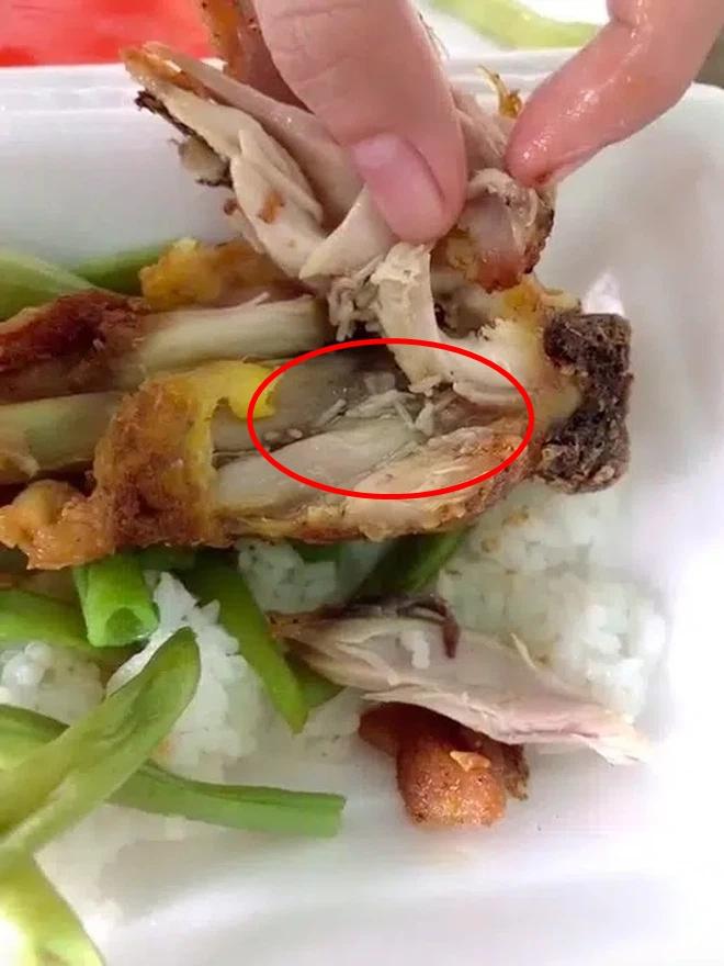 Đang ăn gà hầm, cô gái nôn thốc tháo vì ổ giòi lúc nhúc trong bát-6