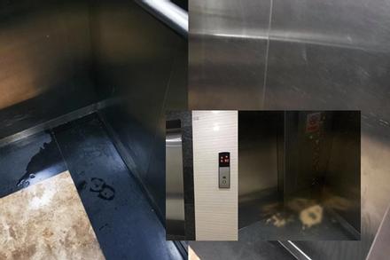 Kinh dị chung cư thủng trần tại Hà Nội: Cư dân tiểu tiện trong thang máy