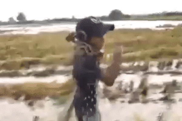 3 thanh niên làng úp sọt trăn gấm, quấn cổ vác lên vai nhìn mà hãi-1