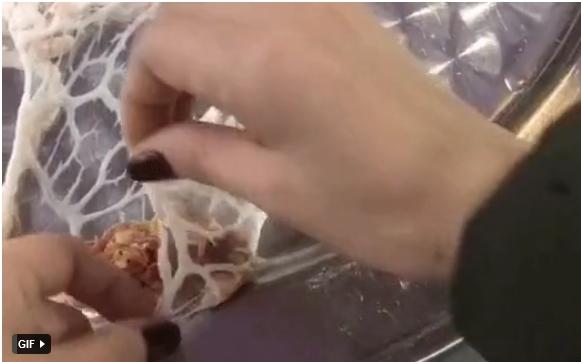 Mang tấm lưới ra làm đồ ăn không ngờ lại thành món ngon hấp dẫn-1