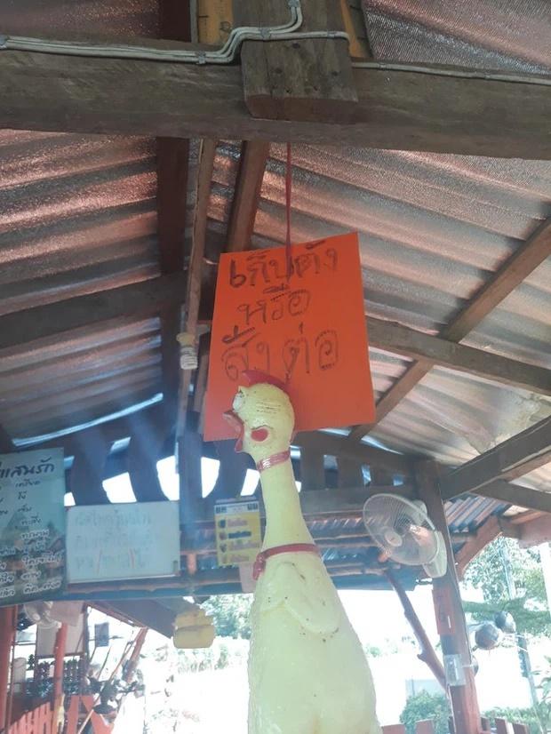 Những hình ảnh độc đáo khiến du khách mắt chữ A mồm chữ O khi đến Thái Lan-1