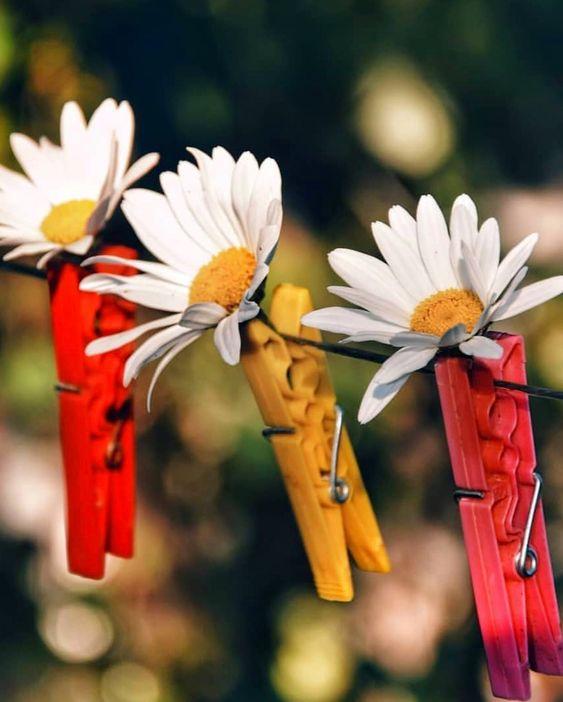 Tử vi 12 cung hoàng đạo thứ Hai ngày 12/4/2021: Sự khôn vặt hại chết Song Tử!-3