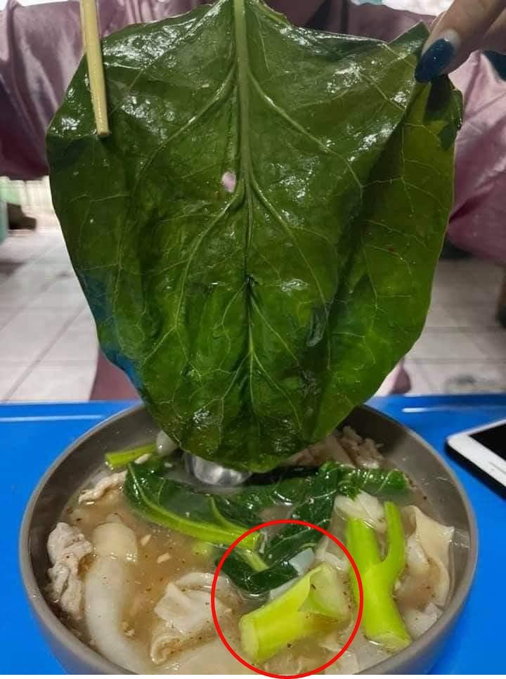 Xỉu lên, xỉu xuống khi ăn bát mì mà gắp được lá mồng tơi to như cái quạt-3