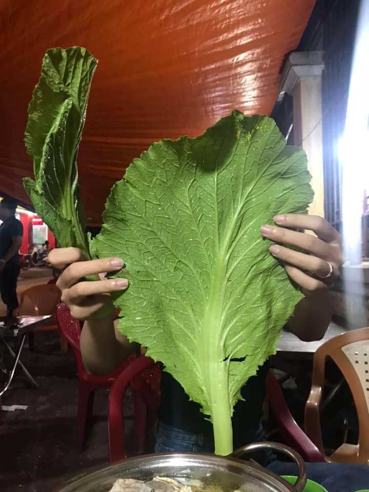 Xỉu lên, xỉu xuống khi ăn bát mì mà gắp được lá mồng tơi to như cái quạt-5