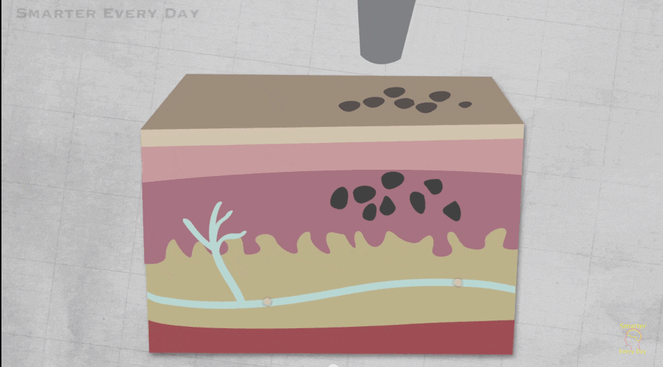 Giải tán hình xăm cho người chơi hệ chia tay như Quách Ngọc Ngoan-6