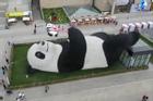 Bức tượng 'gấu trúc selfie' khổng lồ ở Trung Quốc