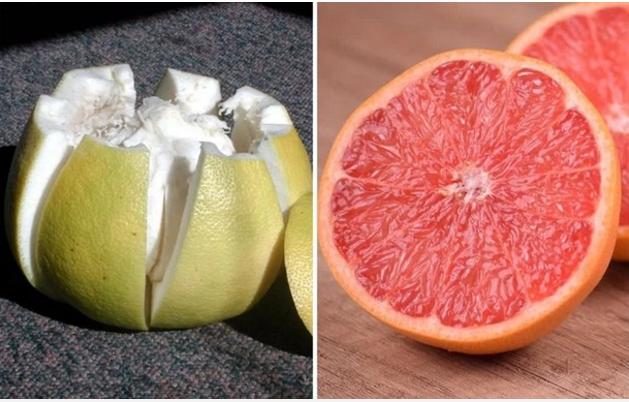 Nhìn cách người nước ngoài ăn bưởi, người Việt xin từ chối hiểu-4