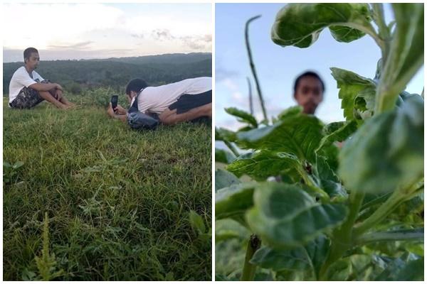 Nghiêm túc chụp ảnh thẻ nhưng đời xô đẩy ta thành diễn viên hài-12