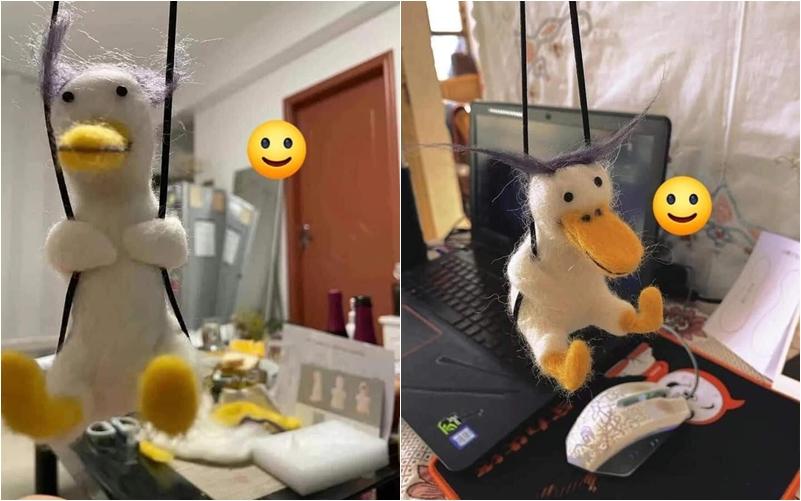 Đặt vịt bông đáng yêu, khách nhận về khuôn mặt đáng thương muốn trầm cảm-4