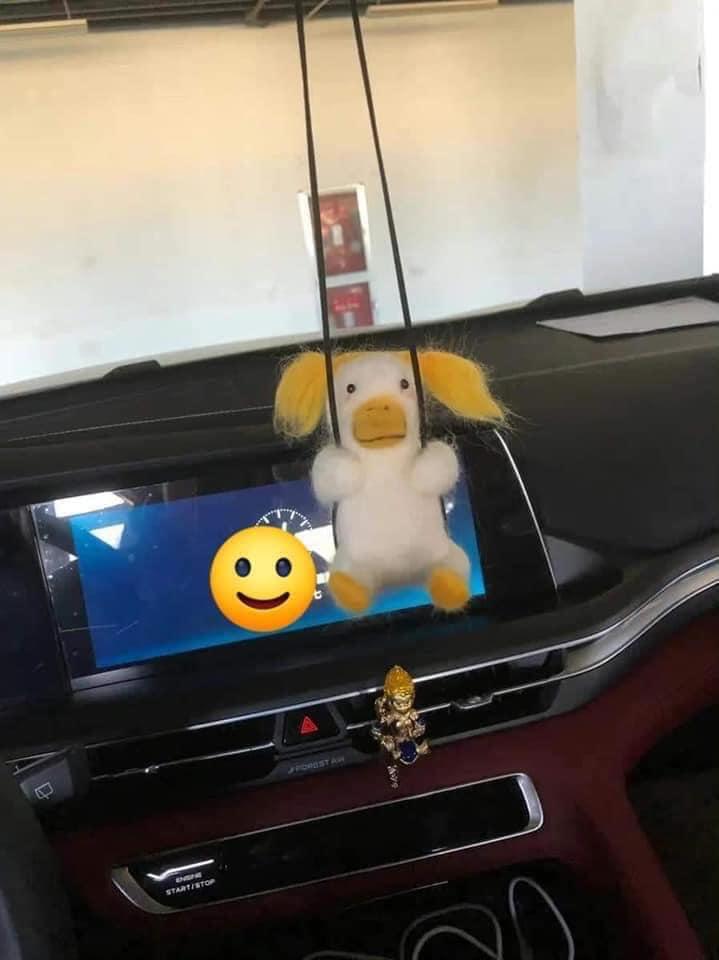 Đặt vịt bông đáng yêu, khách nhận về khuôn mặt đáng thương muốn trầm cảm-5