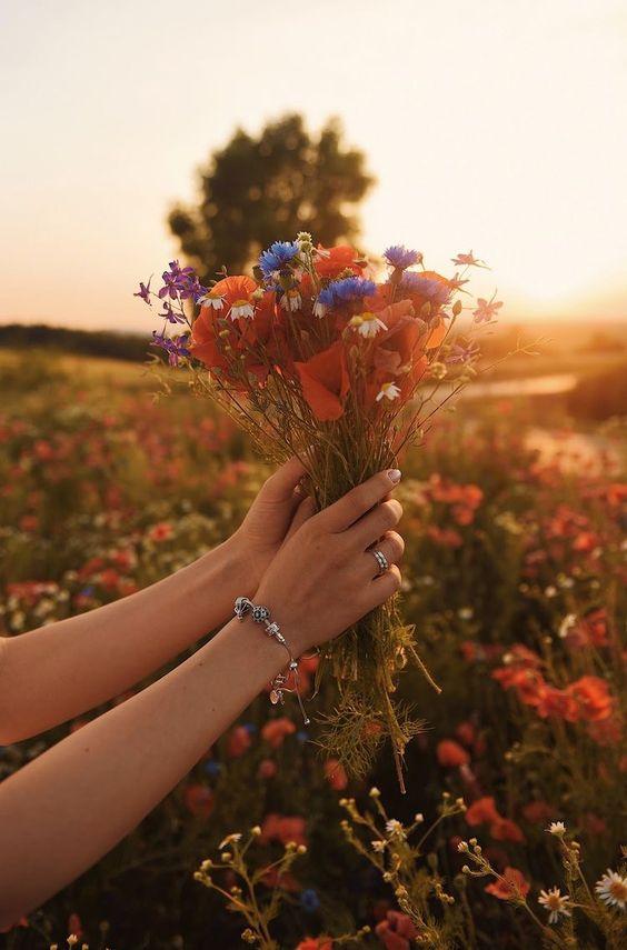 12 cung hoàng đạo thứ Tư ngày 14/4/2021: Bạch Dương chẳng dám tỏ bày-1