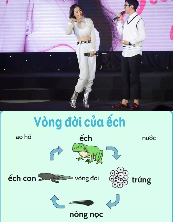 Dàn sao Việt lộ kiến thức tả tơi rơi rụng khi chơi gameshow-1
