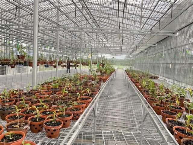 Dân tình ồ ạt thế chấp tài sản, nhà đất lấy tiền đầu tư lan đột biến-2