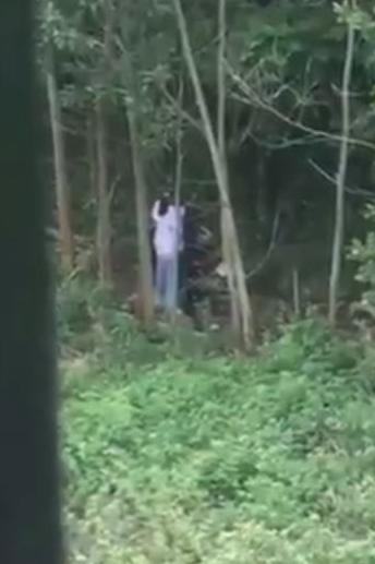 Lan truyền clip hơn 1 phút cảnh đôi trẻ vô tư mây mưa tại rừng phòng hộ-2