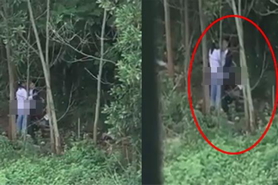Lan truyền clip hơn 1 phút cảnh đôi trẻ vô tư 'mây mưa' tại rừng phòng hộ