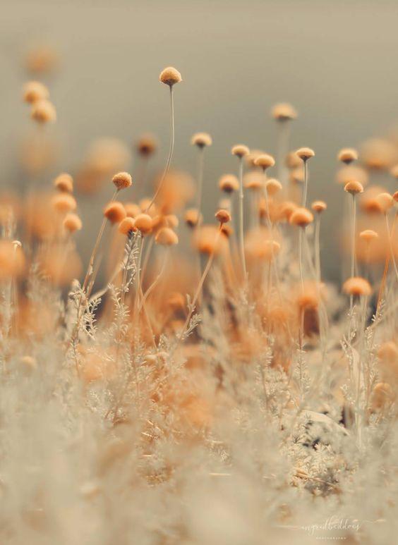 12 cung hoàng đạo thứ Năm ngày 15/4/2021: Cự Giải tha hồ bơi trong tiền bạc-1