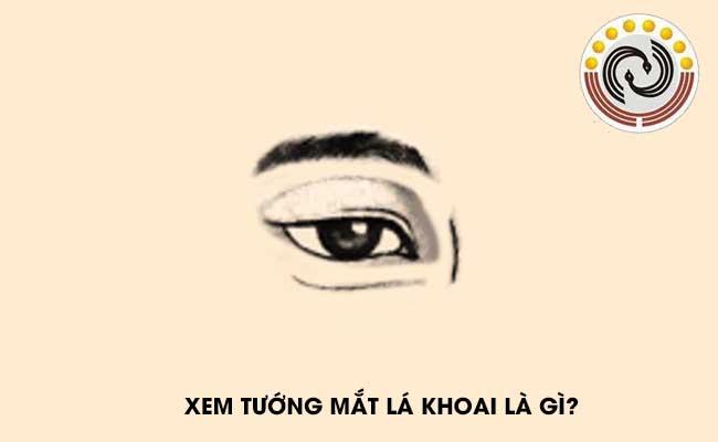 Nhìn vào 1 điểm trên mặt biết ngay người không chung thủy, rất đa tình-2