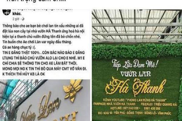 Bố chủ vườn lan ôm 200 tỷ bỏ trốn: Nó vợ dại con thơ, cũng bị người khác lừa-2