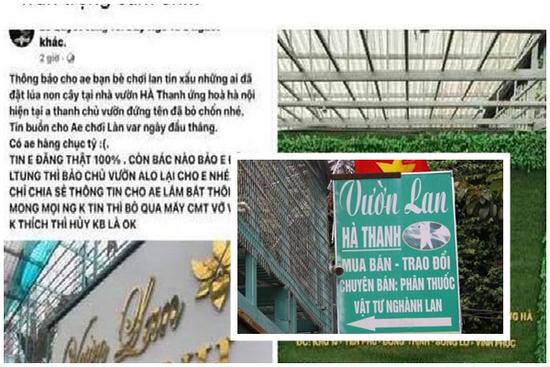 Bố chủ vườn lan 'ôm' 200 tỷ bỏ trốn: 'Nó vợ dại con thơ, cũng bị người khác lừa'