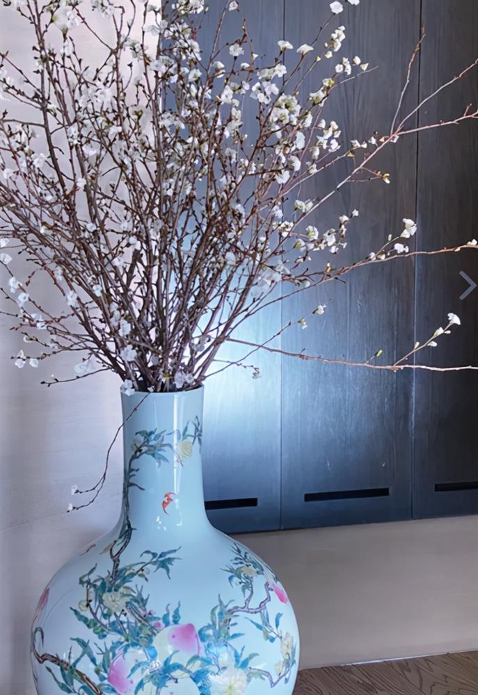 Choáng ngợp cuộc sống Lưu Gia Linh: Mặc áo 7 tỷ, mua bình hoa 18 tỷ-3