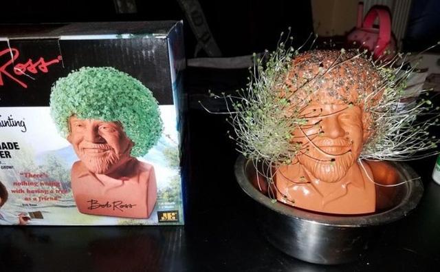 Cứ tưởng mình trúng mánh khi ăn bánh canh cua, nhìn kỹ lại mà tức cái lồng ngực-3