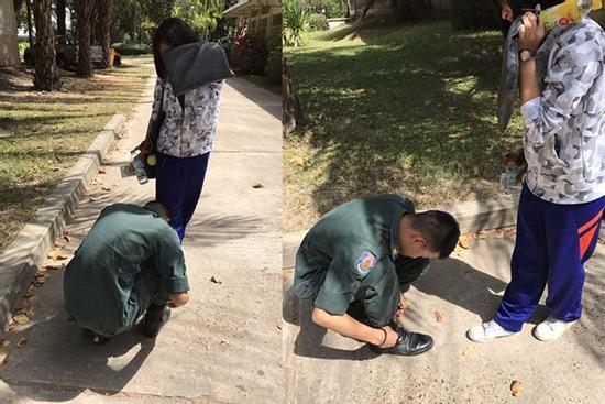 Loạt chiêu trò 'giả vờ có gấu' của hội FA khiến ai cũng bị đánh lừa