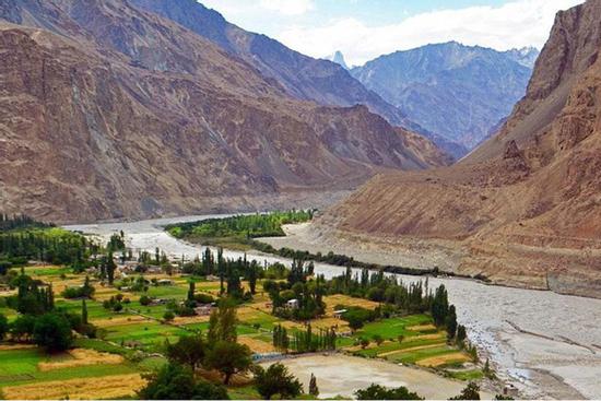 Cách ngôi làng ở Ấn Độ sống chung với loài báo