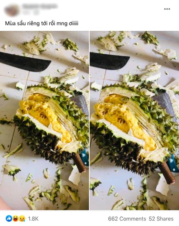 Cô gái up ảnh khoe được ăn sầu riêng, nhìn cách bổ mà tức muốn nội thương-1