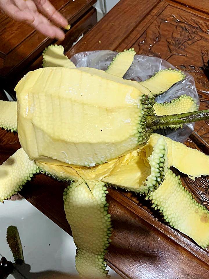 Cô gái up ảnh khoe được ăn sầu riêng, nhìn cách bổ mà tức muốn nội thương-6