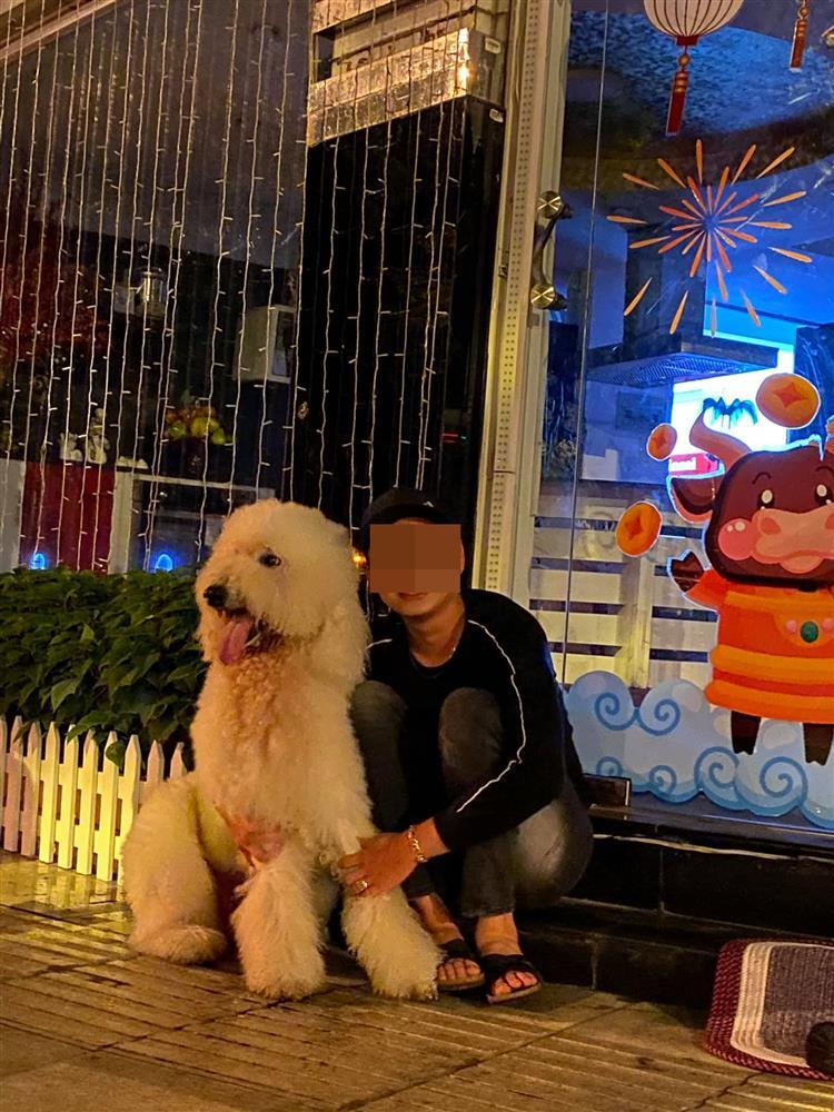 Mất con chó, Lý Quí Khánh đăng tin chỉ muốn chết-3